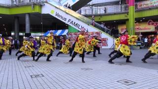 第１１回　ドリーム夜さ来い祭り－新松戸雅ノ會２