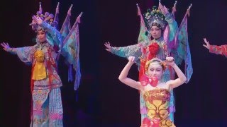 Shanghai Acrobats: The New Shanghai Circus