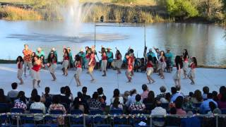 Hawaiian Roller Coaster Ride ft Dance Coalition (D.Co.) - Ohana Lu'au 2014