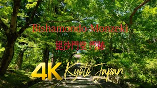 Kyoto Bishamondo Monzeki 4K 京都 毘沙門堂門跡