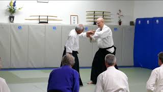 Takeguchi Shihan at Allegheny Aikikai, June 23rd 2018 - 13