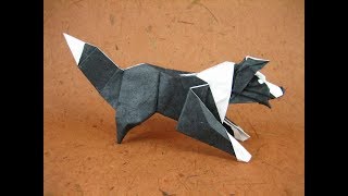 Origami border collie dog by Quentin Trollip