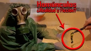 Homúnculos | ¿Realidad o Ficción?  En este Vídeo Sabrás la Verdad.