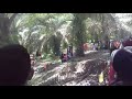 enduro,,,kampung sialang palas,,,l,dalam,siak