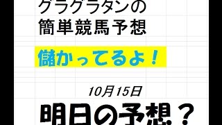 グラグラタンの簡単競馬予想　１０月１５日（土）分