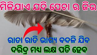 ପେଚା କରିଦେବ ସମସ୍ତ ଲୋକଙ୍କୁ ଧନି ମାତ୍ର ବ୍ୟବହାର କରନ୍ତୁ ଜିଭ | tecbigyan channel | tecbigyan