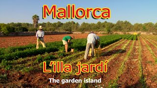 Mallorca - The Garden Island