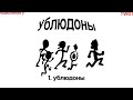 ПОДКОЛЕНИЕ У u0026 two i — УБЛЮДОНЫ