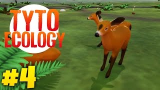 3 MONTHS LATER | Tyto Ecology (Week 4)