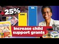 Child support grant to go up by 25% with DA government