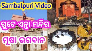 କରନି ମାତା ମନ୍ଦିର ରାଜସ୍ତାନ ର ରହସ୍ୟ #sambalpurivideo