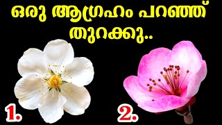 നിങ്ങളുടെ ജീവിതത്തിൽ വരാൻ പോകുന്ന മാറ്റങ്ങൾ അനുഭവങ്ങൾ അറിയാം