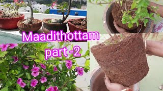 மாடித்தோட்ட ஆடி பட்டத்திற்கு பழைய தொட்டி மண் ரெடியாக Part-2 / Happy Gardening