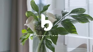 설레는 봄 느낌 가득, 들으면 기분이 좋아지는 봄 연주곡 - 뉴에이지 피아노 연주곡 Spring Beautiful Piano Music