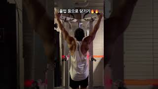 등이 좋아지기 위한 필수과정#보디빌딩 #헬스 #등운동 #pullups