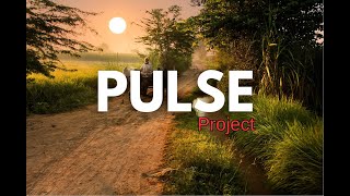 PULSE Project: Digitalization of Revenue Record and Challenges faced by Revenue Field Staff