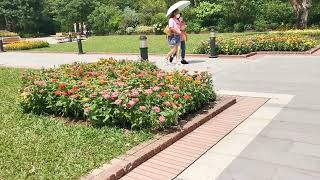 香港動植物公園. Hong Kong Zoological and Botanical Gardens.