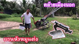 ผานหัวหมูแต่งหน้าตาคล้ายเมืองนอก  (0639145630ทัศนัย)