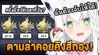 บทสรุปการออกตามล่าหา 