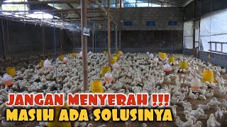 CHICKEN LIVESTOCK FAILURE CAUSES