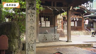 小野小町のやおよろ’S「古の社 高牟神社（３）」