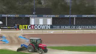 Oxford Stadium Greyhounds Live Trial Session 23/12/24