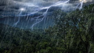 Rain Forest Thunder Rain Sleep Sounds White Noise 10 Hours