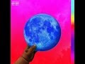 Wale- Fish And Grits ft. Travis Scott | Review