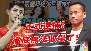 “世界冠軍”張繼科事件牽扯“案中案”！與洗米華有關聯，已被正式逮捕？【鲤娱记】#張繼科#洗米華