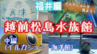 【福井】越前松島水族館(イルカショー・海洋館)