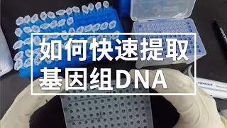 「科研」如何快速提取基因组DNA