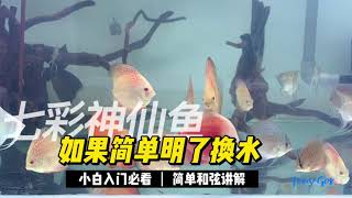 七彩神仙鱼 换水记 Discus \r#七彩神仙鱼 #discus #aquarium #fish #养鱼  #water #ikan #food #hobby #like #and #share