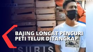 Polisi Tangkap Bajing Loncat Pencuri Peti Telur