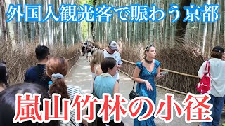 2024年8月14日 外国人観光客で賑わう京都嵐山竹林の小径を歩く Walking along the path of Arashiyama Bamboo Forest 【4K】