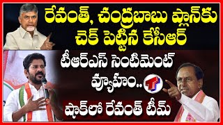 చంద్రబాబు ప్లాన్ కు చెక్ పెట్టిన సీఎం కెసిఆర్ | CM KCR Master Plan On Chandrababu | Telangana TV