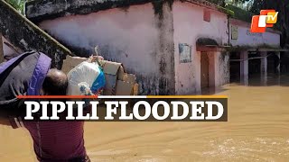 Flooding In Pipili Area Of Puri In Odisha | OTV News