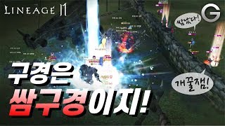 리니지2 구찌 구경은 😎쌈구경이😎 『꿀잼』이지! lineage2