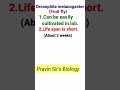 Why Morgan Selected Drosophila melanogaster (Fruit fly) for his experiment