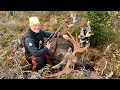 Älgjakt i Bastfallet, Min Stortjur - 6,5X55 - Moosehunt - Day 1&2 - Jaktkniv Eka Swingblade