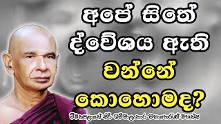 අපේ සිතේ තරහ ඇති වන්නේ කොහොමද?