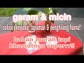 Manfaat Garam Dapur dan Micin untuk tanaman serta cara penggunaan yang tepat agar subur