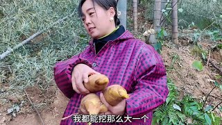 小伙进山挖冬笋，为了面子，半路买20多斤回家交差