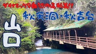 【秋芳洞・秋吉台】〜ぶらり山口の旅〜