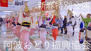 Happy New Year 2025! The Awaodori Promotion Association Starts the Year with an Amazing Performance!