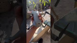 dji air2s fly more combo drone short video #tranding #drone #travel #shortvideo #dji #viralvideo