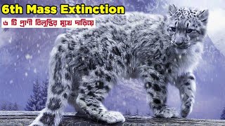 extinction || ৬ টি প্রাণী বিলুপ্তির মুখে দাড়িয়ে || 6th mass extinction