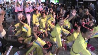 のびゆく連 東京高円寺阿波おどり2015（ふれおどり） Awa Dance