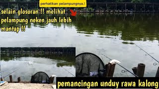 setiap pemancingan pasti ingin narik ikan ini !! ll pemancingan unduy rawa kalong