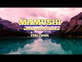 Mamushi - Megan Thee Stallion Ft.Yuki Chiba( Lyrics)