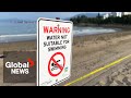E. coli surge shuts down record number of Vancouver beaches for swimming